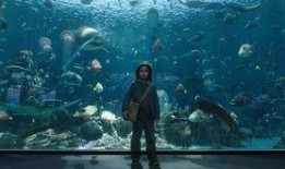 吃瓜娱乐间海王红,揭秘娱乐圈的神秘“海王”传奇